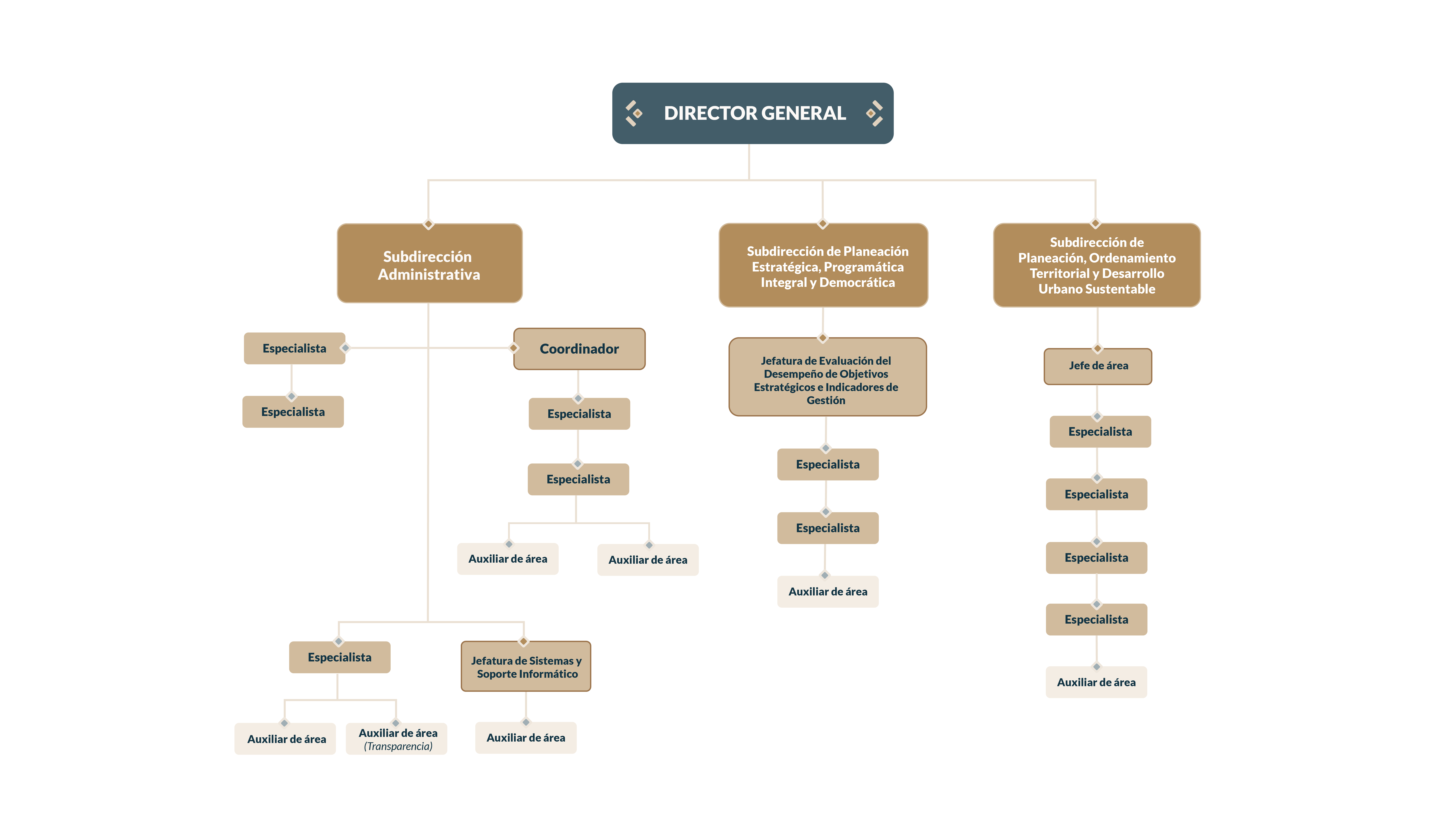 Organigrama